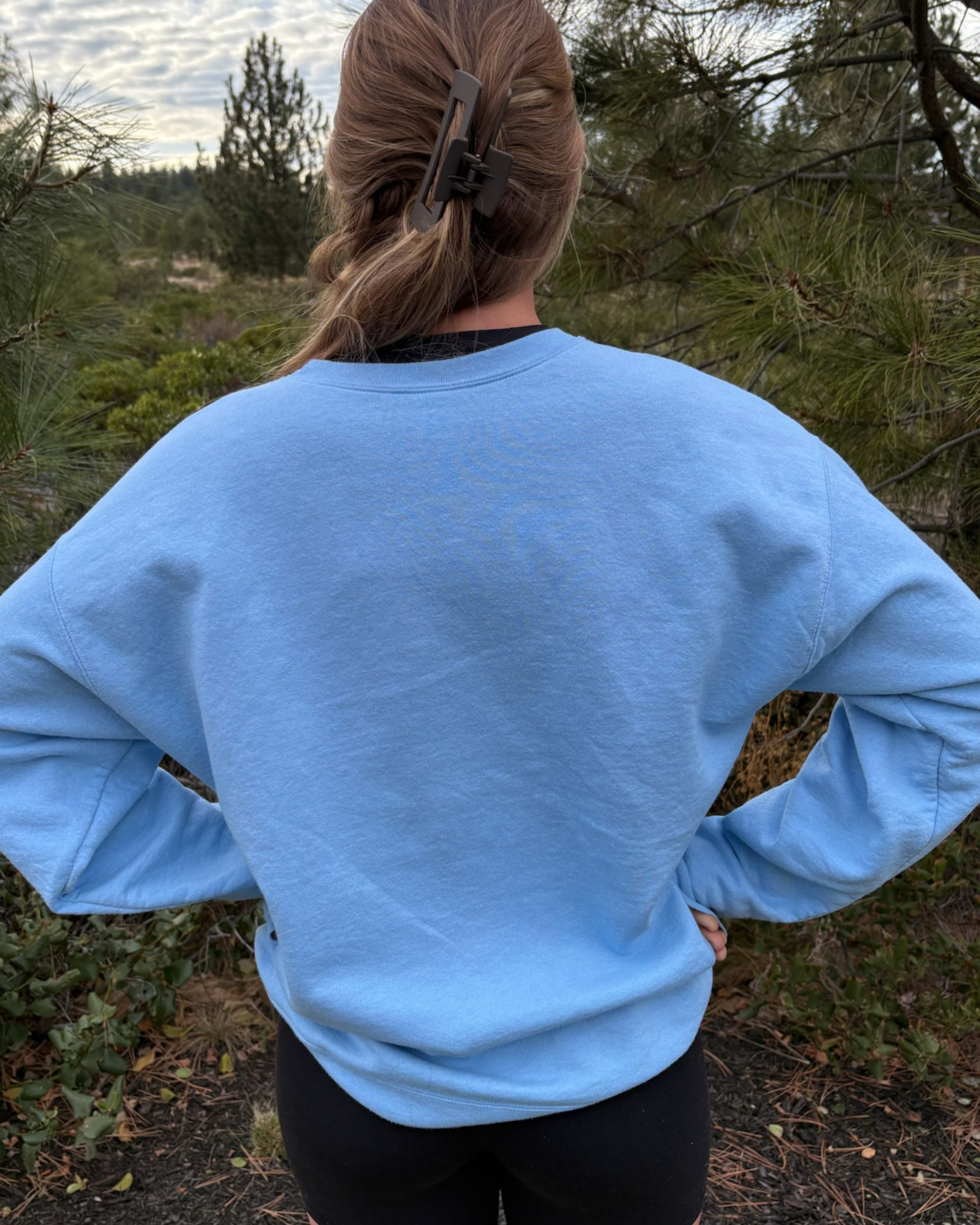 Embroidered Crewneck - Blue